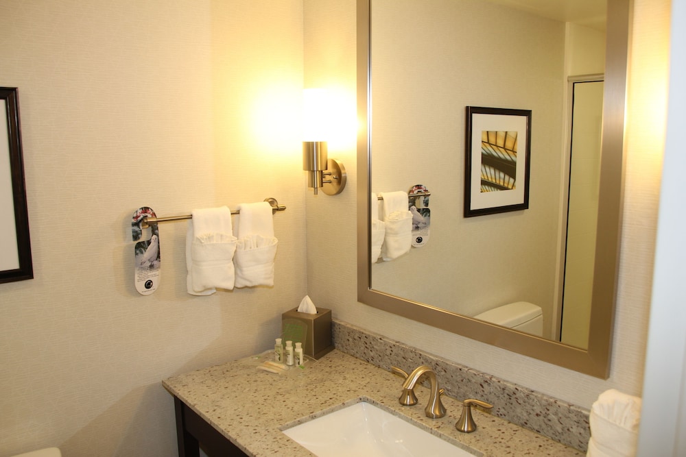 Suite, 1 Bedroom, Accessible (Mobility, Transfer Shower) photo 3