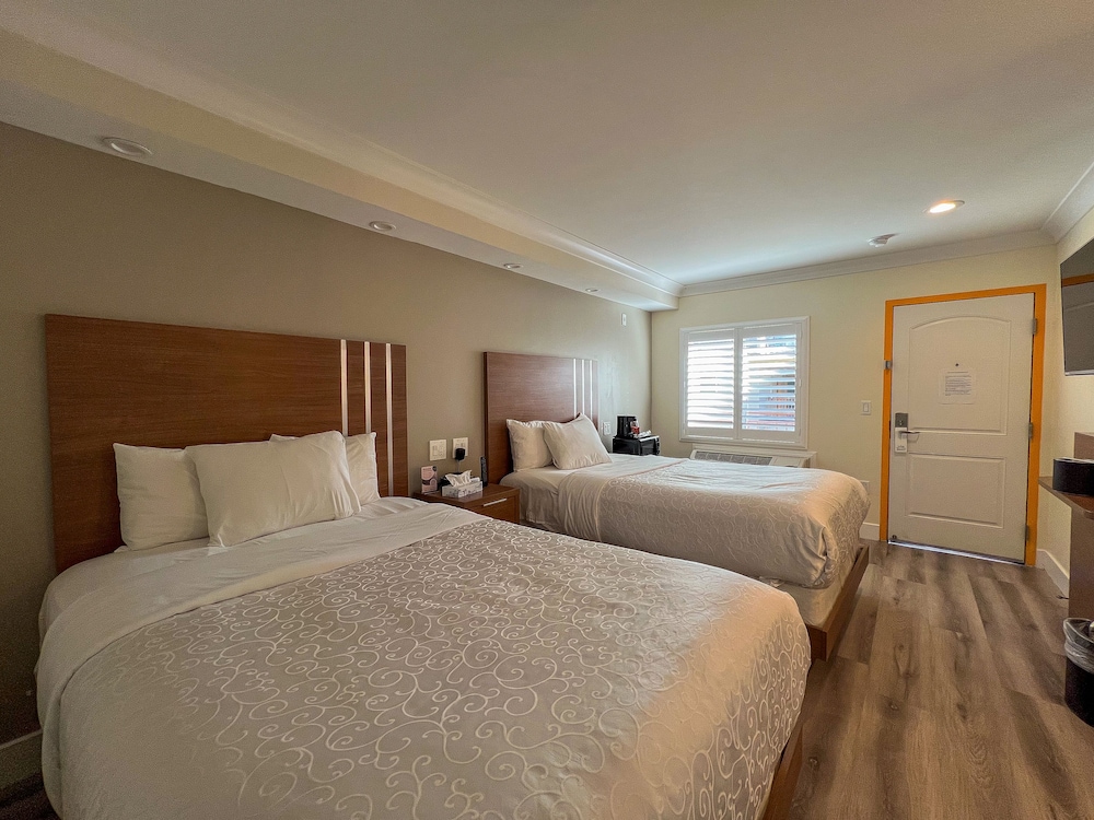 Standard Room, 2 Double Beds, Non Smoking