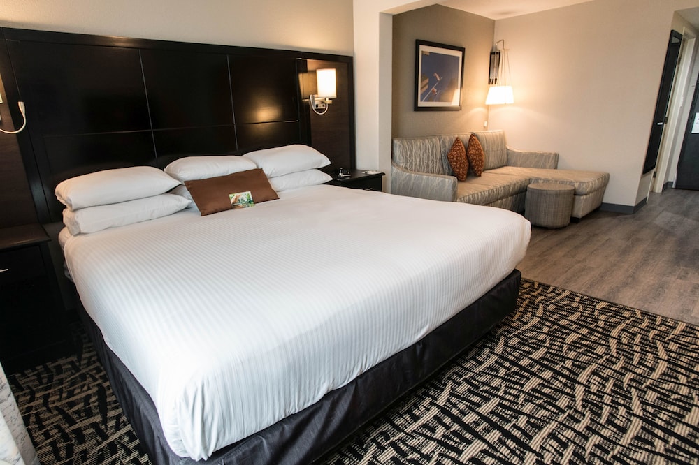 Standard Room, 1 King Bed with Sofa bed, Non Smoking - Photo 3