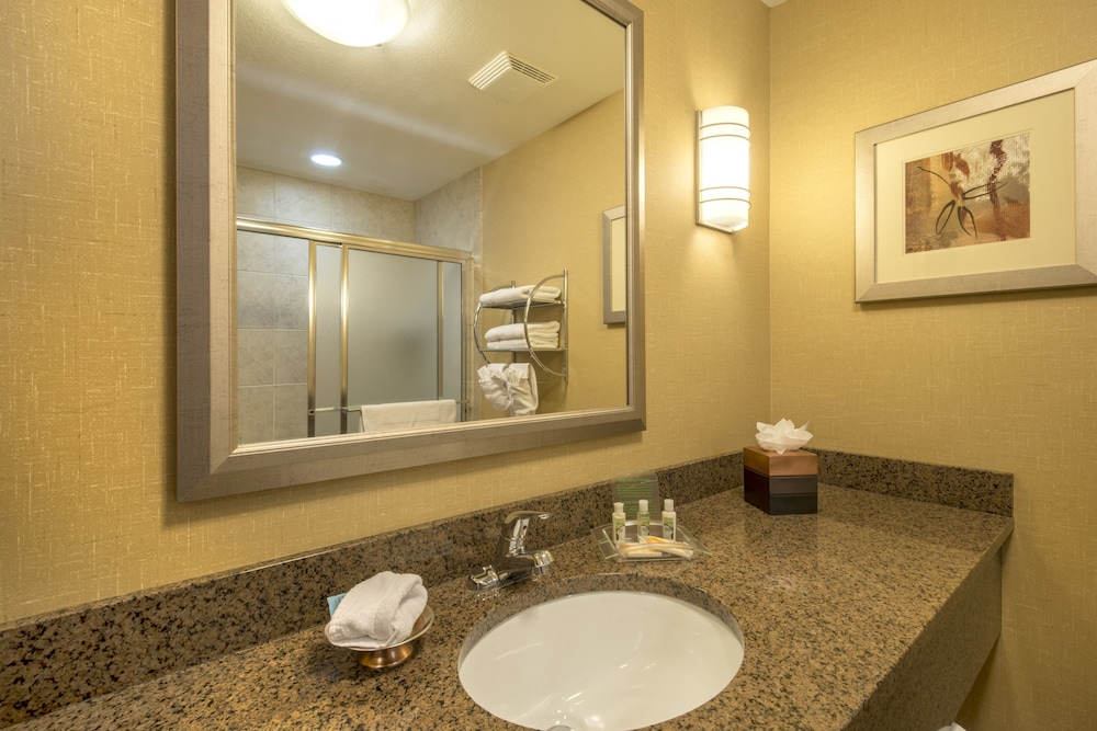 Suite, 1 Bedroom - Photo 4