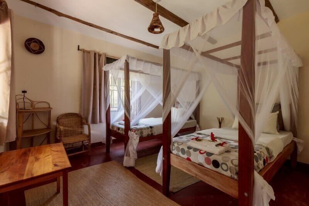 Twin Room photo 1