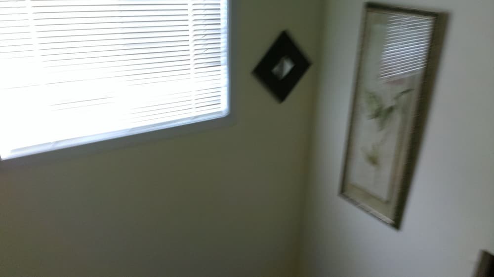 American Suite photo 3