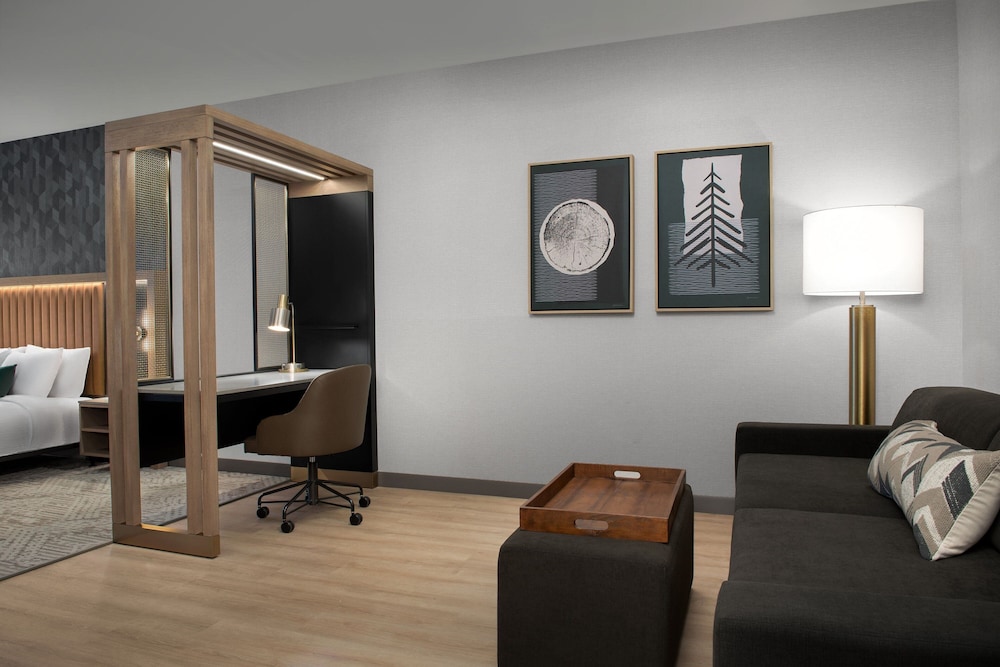 Studio, 1 King Bed with Sofa bed (Mobility Accessible, Roll-In Shower)