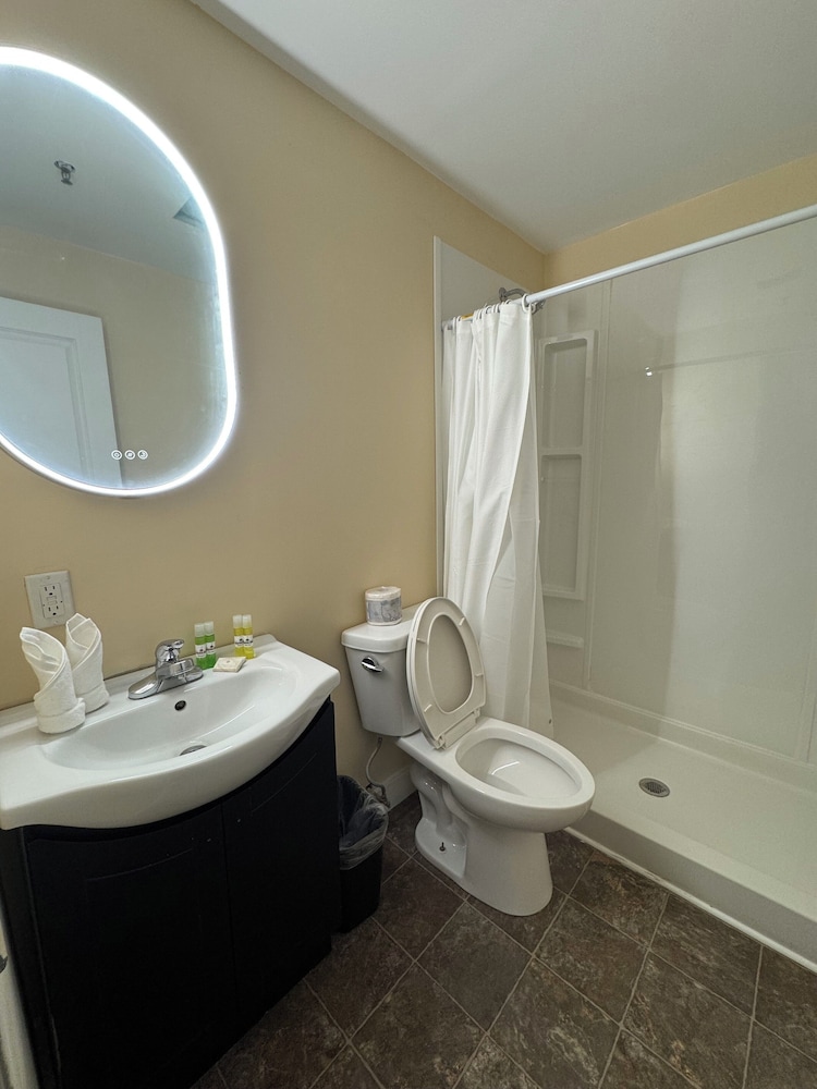Single Room, 1 Queen Bed photo 2