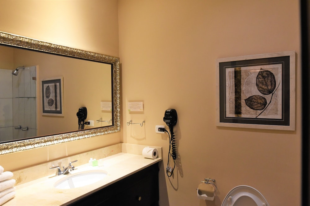 Junior Suite, 1 King Bed - Photo 3
