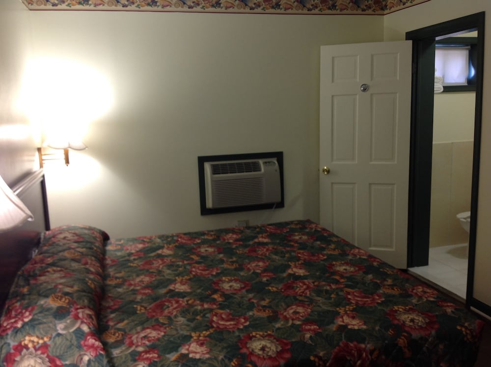 Room, 1 King Bed, Non Smoking photo 3