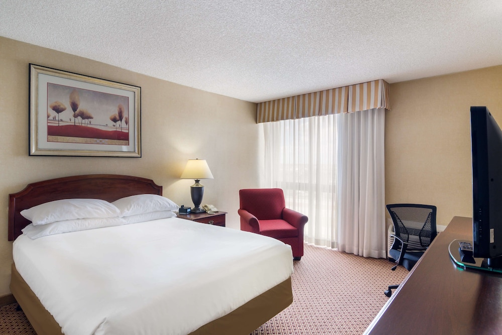 Room, 1 Queen Bed