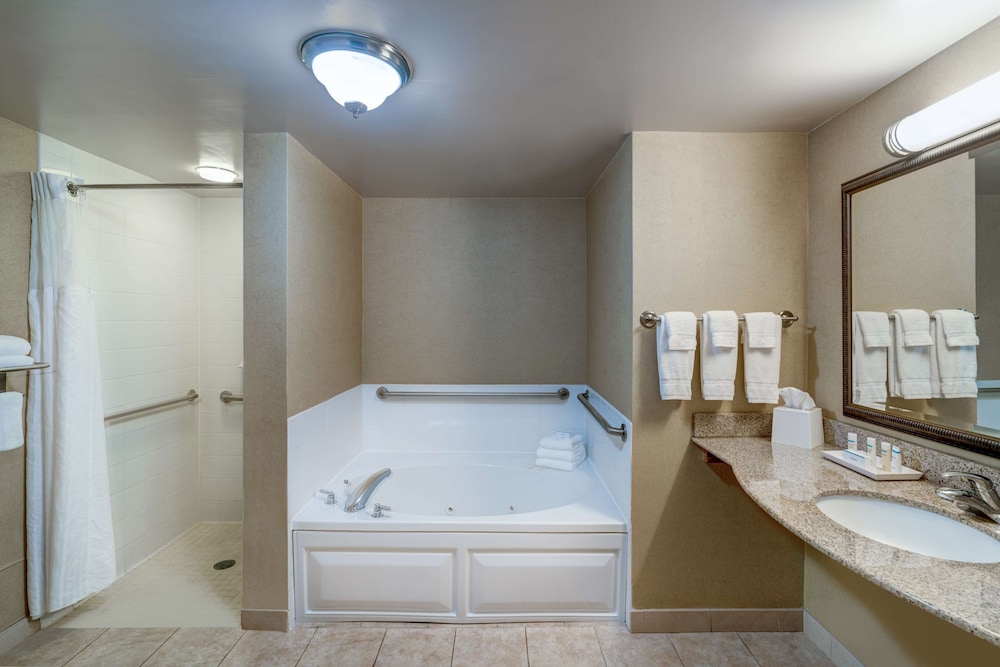 Suite, One King Bed, Accessible - Photo 3