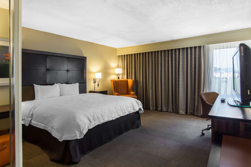 Room, 1 King Bed, Accessible, Non Smoking - Photo 1