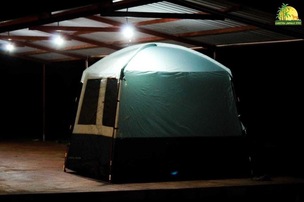 Pitching Tent photo 1