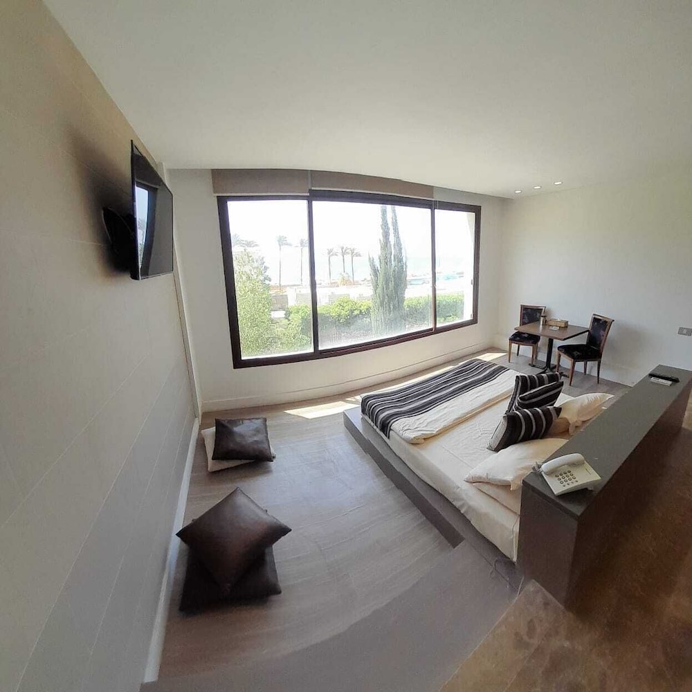 Basic Studio Suite photo 3