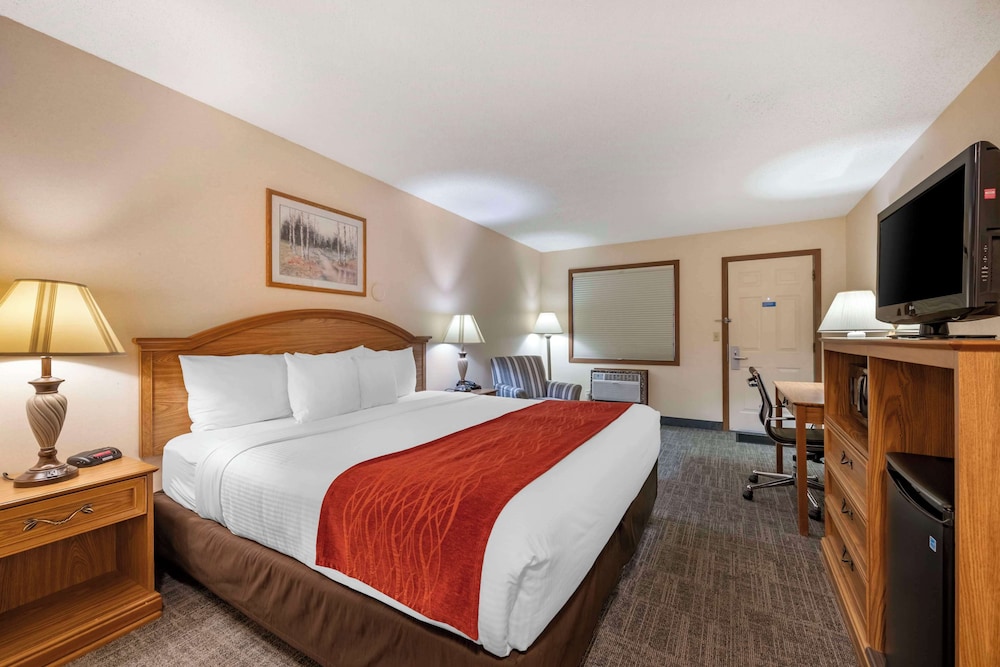 Standard Room, 1 King Bed, Accessible, Bathtub - Photo 1