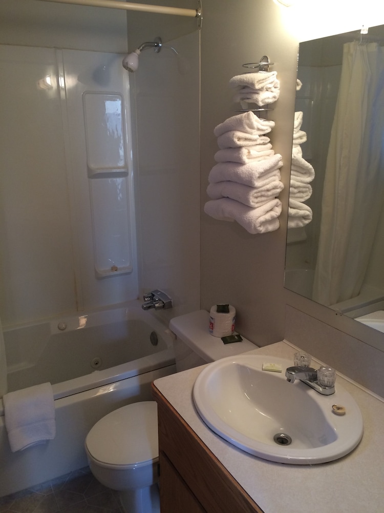 Deluxe Cabin, 2 Queen Beds, Kitchenette photo 3