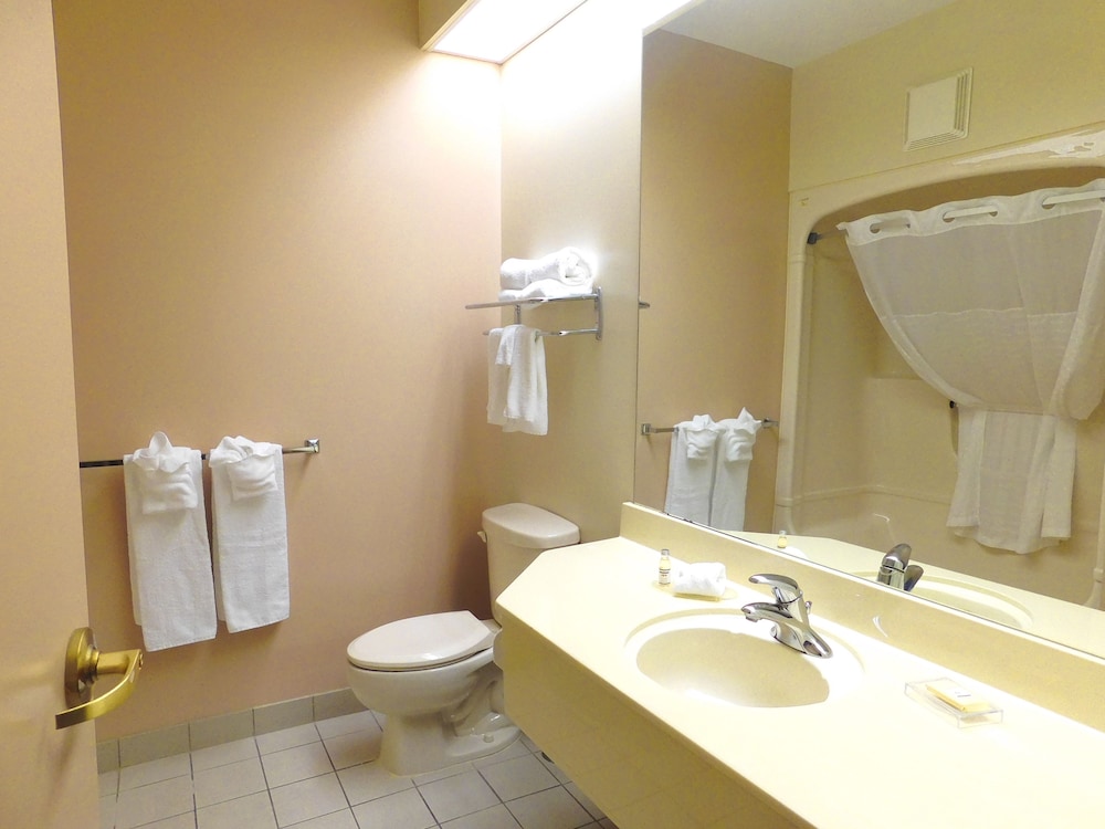 Suite, 1 Bedroom, Living Room with Double Sofa Bed