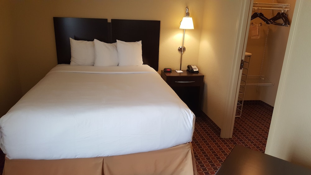 Studio Suite, 1 Queen Bed with Sofa bed, Accessible Bathtub