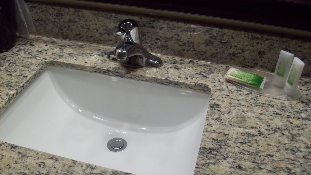 Suite, 1 King Bed, Non Smoking, Lake View (1 Bedroom) - Photo 5