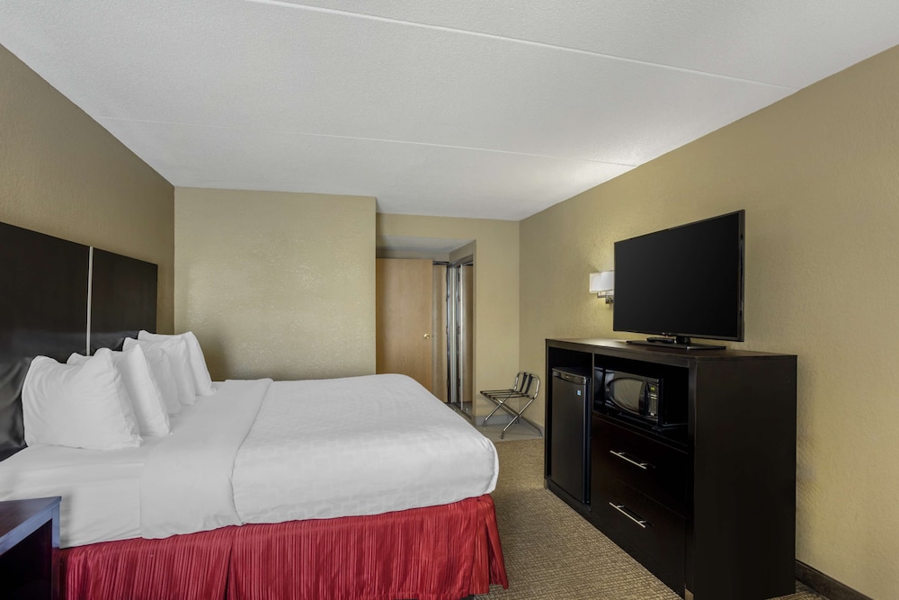 Standard Room, 1 King Bed, Non Smoking, Microwave (with Sofabed) - Photo 3
