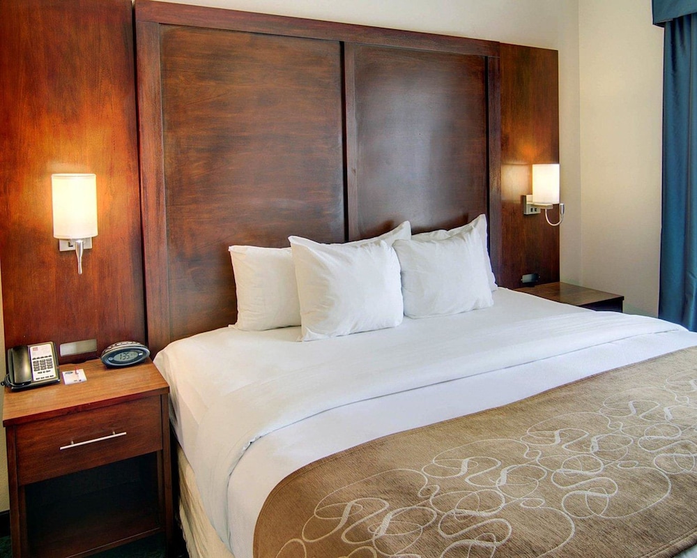 Suite, 1 King Bed, Non Smoking photo 1