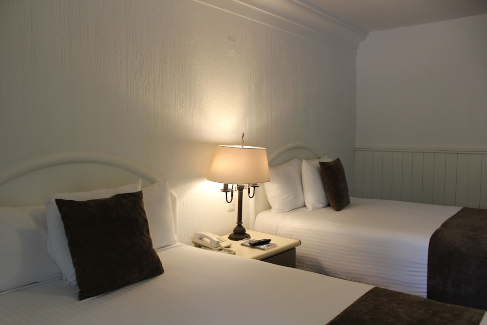 Superior Double Room photo 3