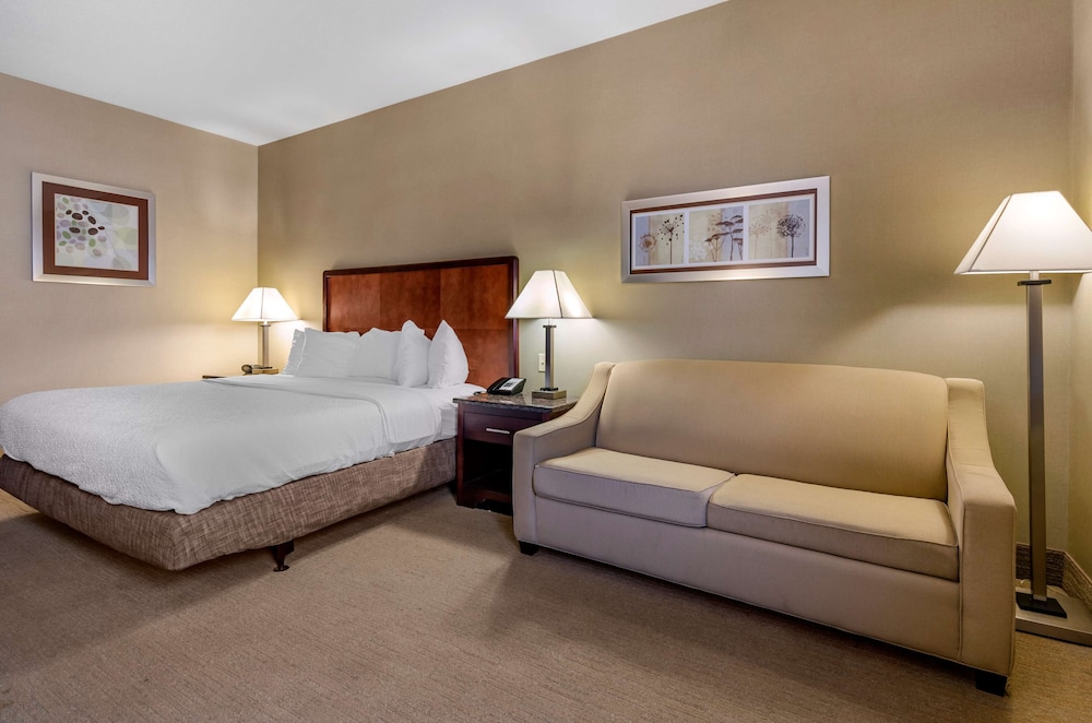 Standard Room, 1 King Bed, Non Smoking, Refrigerator & Microwave - Photo 3