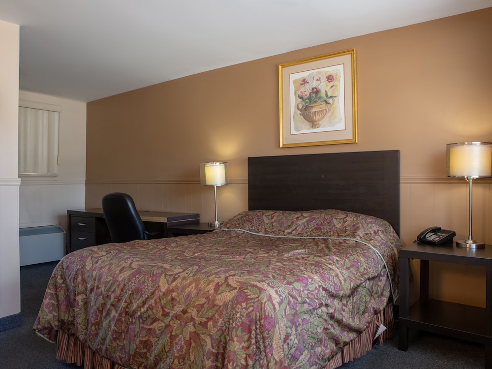 Room, 1 Queen Bed photo 1