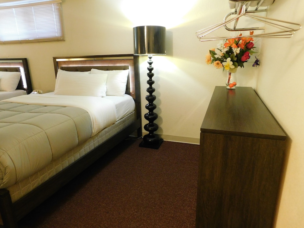 Comfort Studio Suite, Multiple Beds photo 3