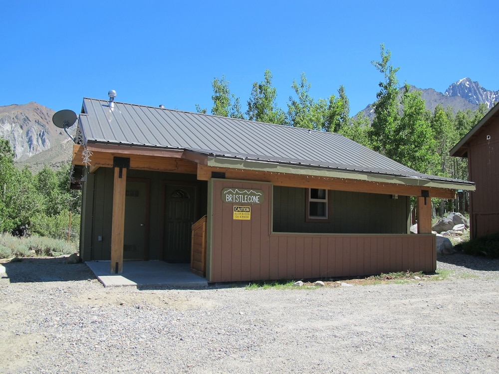 Cabin, 1 Bedroom, Hot Tub (Bristlecone) photo 2
