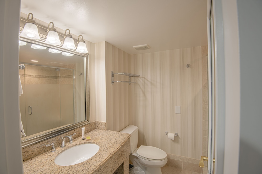 Suite, 1 King Bed, Accessible (Hearing) photo 3