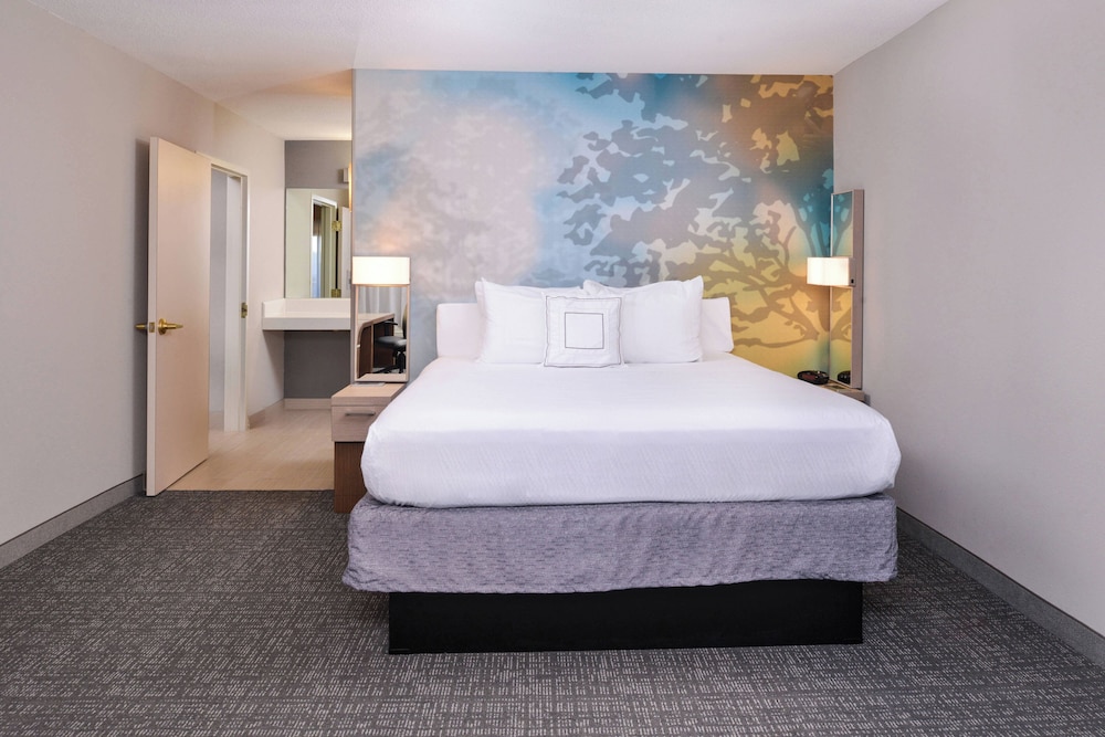Suite, 1 Bedroom photo 3