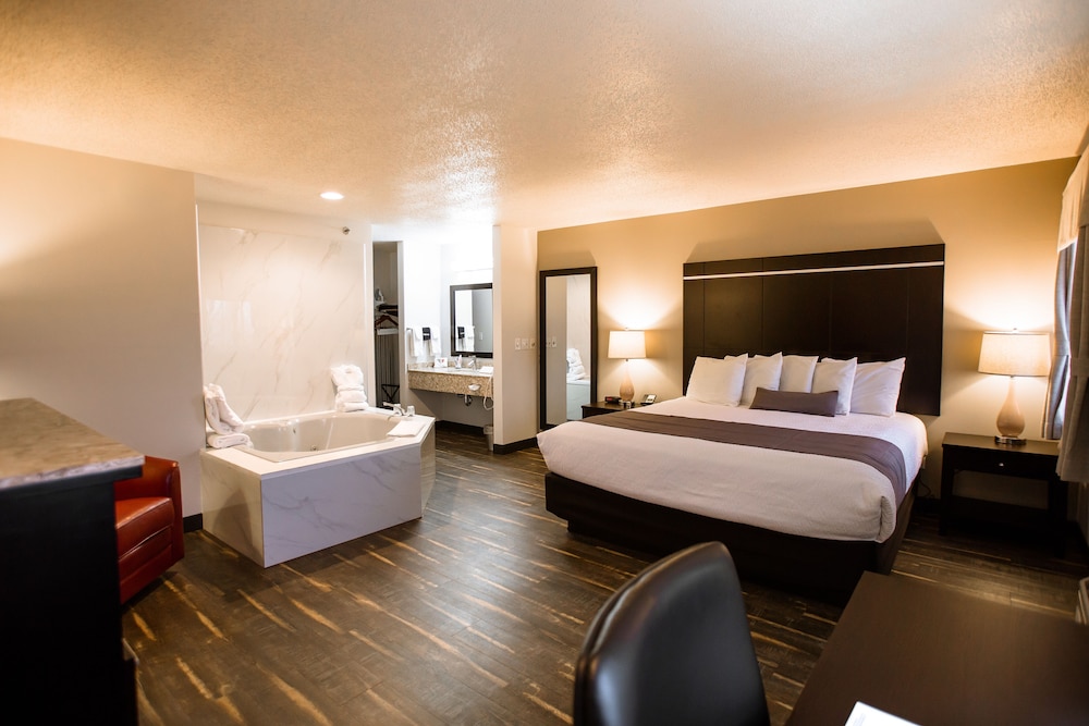 Deluxe Studio Suite photo 1