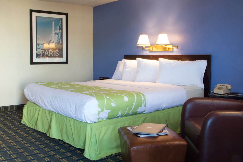 Standard Room, 1 King Bed, Courtyard View, Courtyard Area
