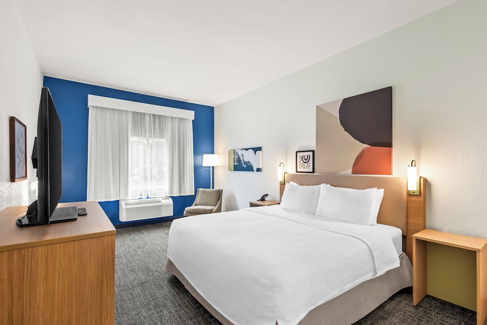 Room, 1 King Bed, Accessible (Mobility & Roll-In Shower) - Photo 1