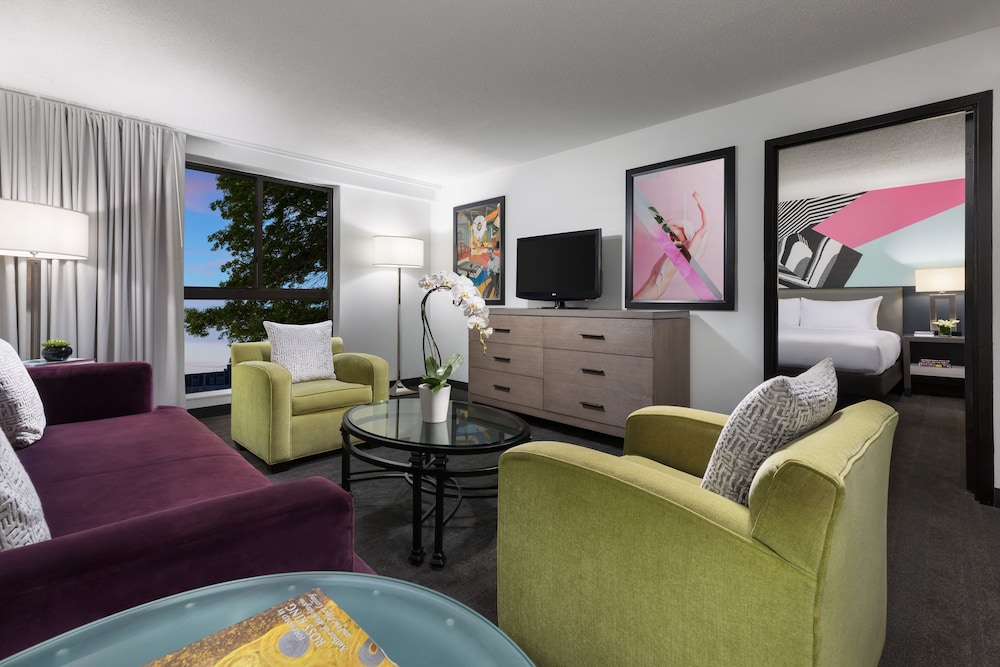 Studio Suite - Photo 11