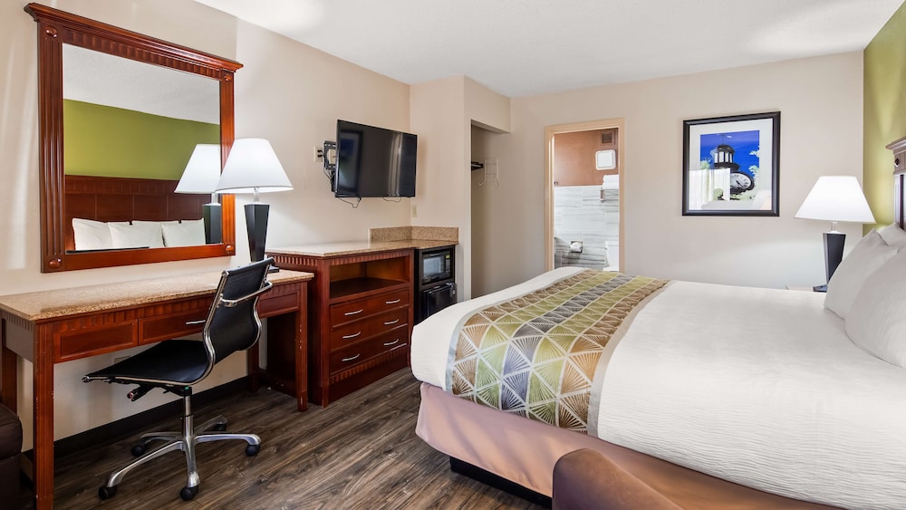 Standard Room, 1 King Bed, Non Smoking, Refrigerator & Microwave photo 2