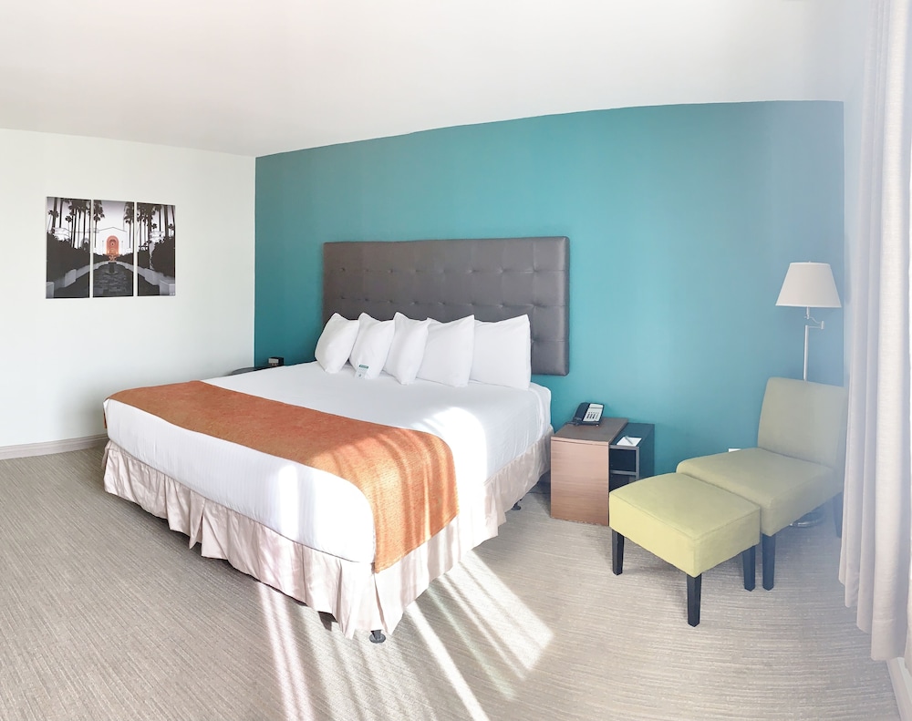 ADA Accessible Standard Room photo 3