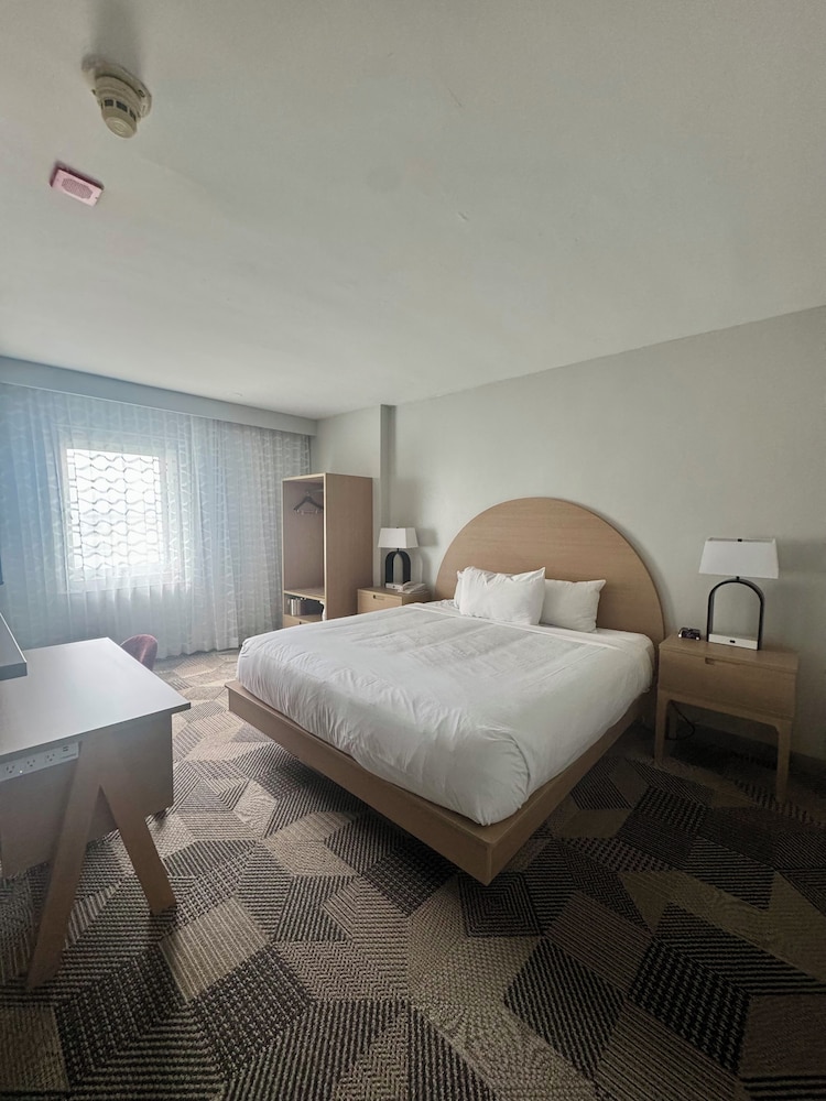 Standard Room, 1 King Bed - Photo 4