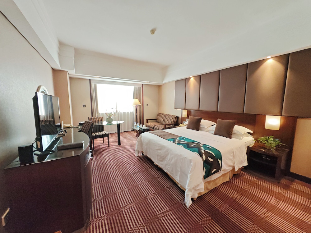 Comfort Single Room, City View