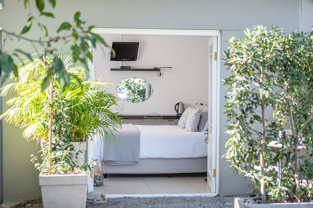 Standard Double or Twin Room photo 3