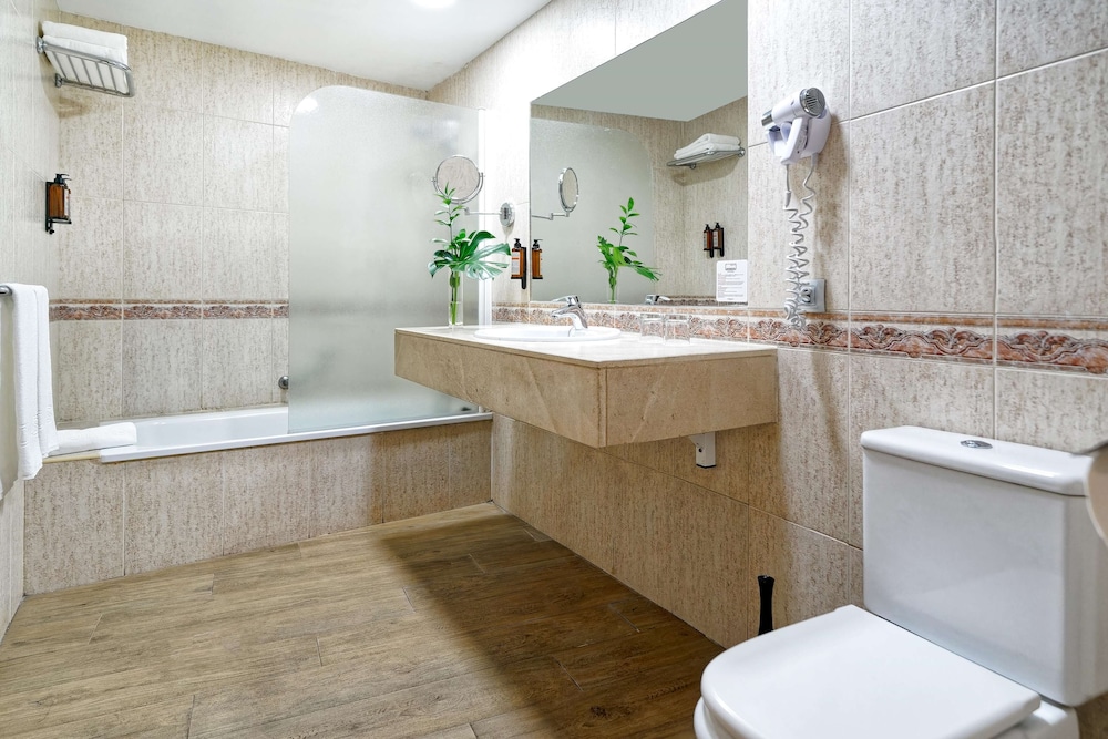 Suite (Single Use) photo 3