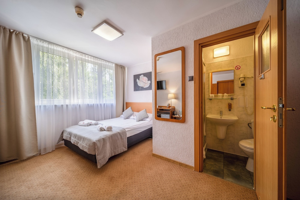 Standard Single Room, 1 Double Bed, Non Smoking, Private Bathroom photo 1