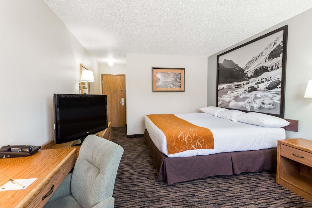 Economy Room, 1 King Bed, Non Smoking photo 3