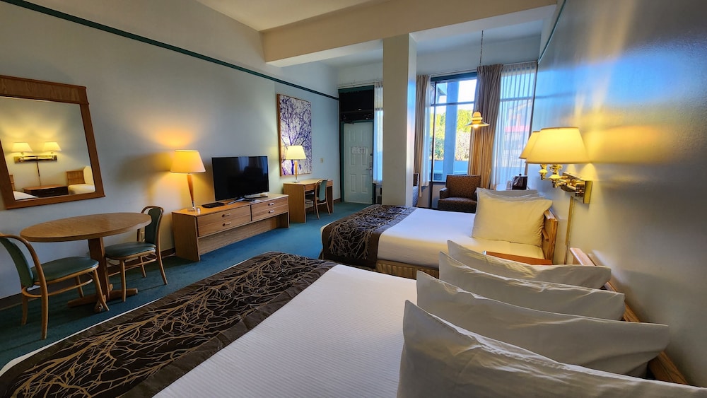 Classic Single Room, 2 Queen Beds, Kitchenette (Pet Friendly Room)