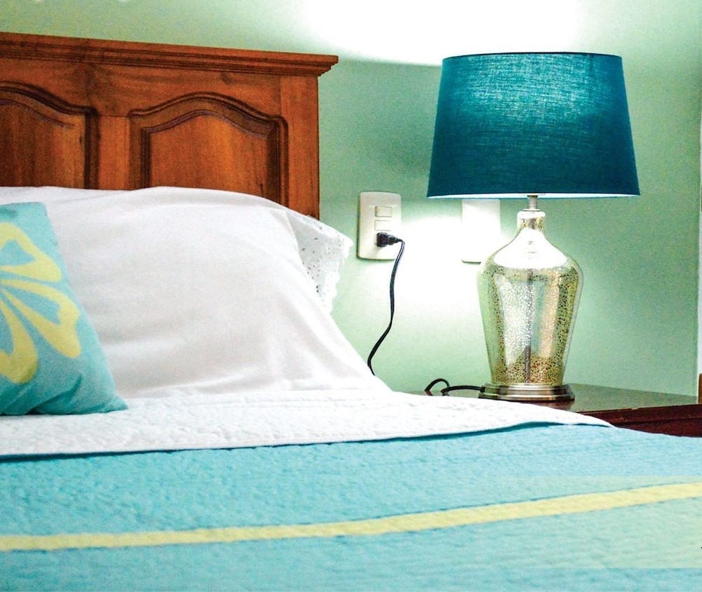 Room, 1 King Bed