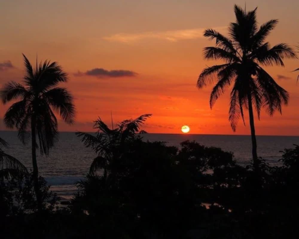 Ocean View Villa photo 2