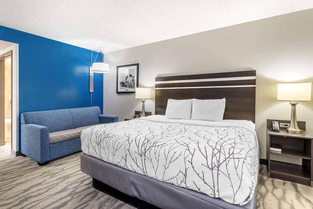 Standard Room, 1 King Bed, Accessible, Refrigerator & Microwave - Photo 1