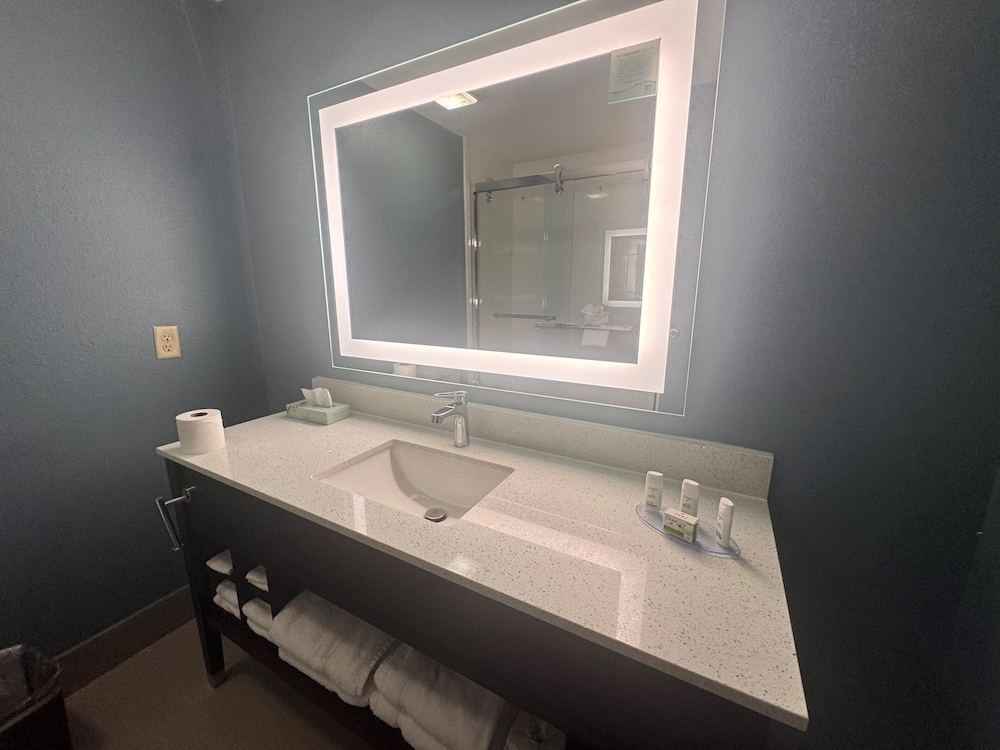 Suite, 1 King Bed, Non Smoking, Kitchenette - Photo 5