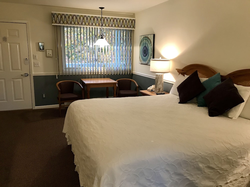 Standard Room, 1 King Bed, Non Smoking photo 1