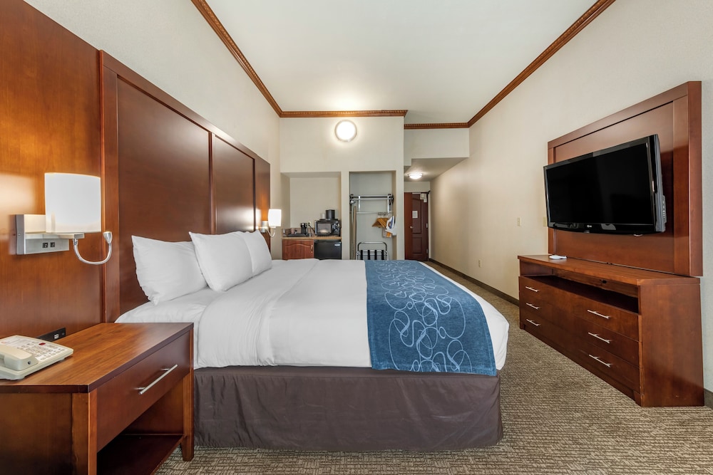Suite King, Accessible, (Roll In Shower), Non Smoking photo 1