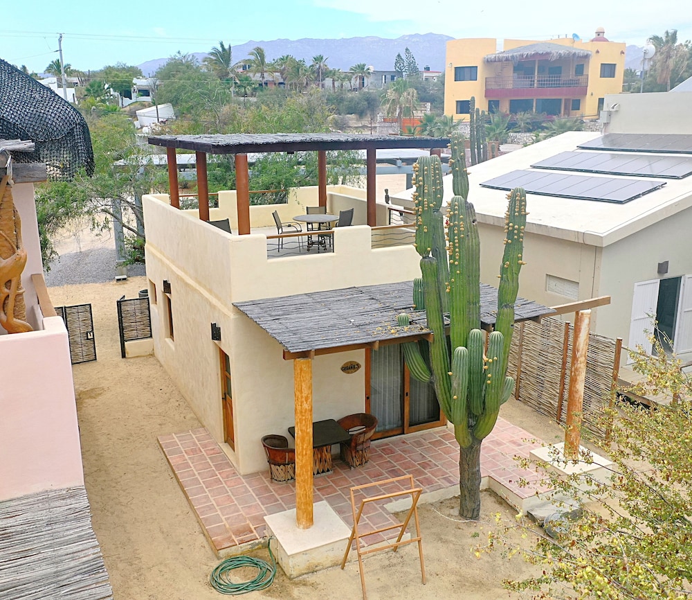 Standard Room, 1 Bedroom, Terrace, Garden View