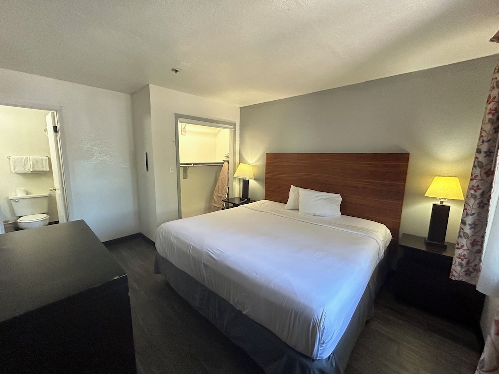 Deluxe Room, 1 King Bed, Non Smoking photo 2